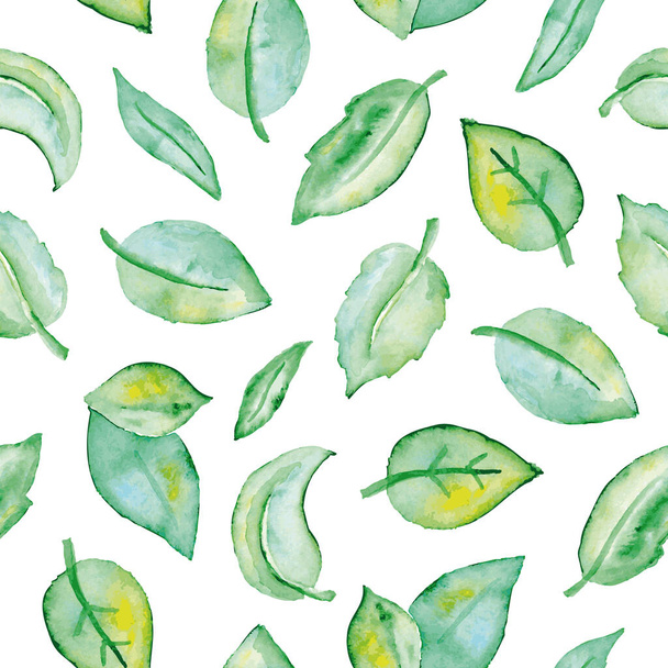 Watercolor green leaves seamless pattern. Hand painted - Vetor, Imagem