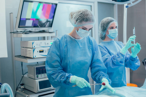 Team of professional surgeons working in the operating theatre. Syringe and forceps in their hands - Foto, imagen