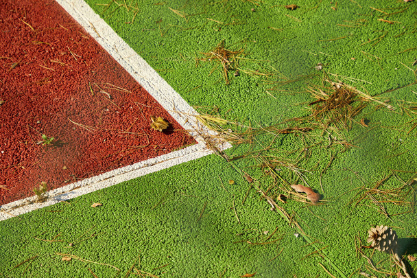 Угол твёрдого покрытия теннисного корта окрашен в зеленый, красный и белый. Его можно увидеть в состоянии заброшенности с листьями деревьев и ананасом на земле.
. - Фото, изображение