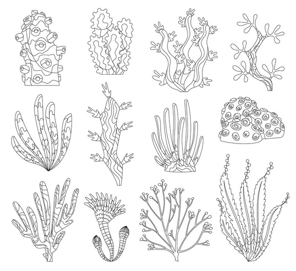 Marine algae, ocean seaweed and corals silhouettes. Underwater algae. Aquarium plants collection. Vector marine life. Isolated corals and algae. Underwater flora - Vettoriali, immagini