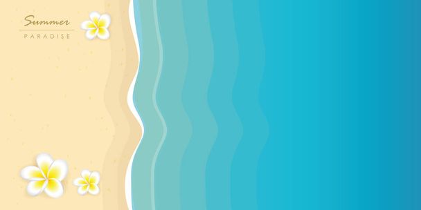 летний отдых бирюзовая вода и песчаный пляж с тропическими цветами франджипани
 - Вектор,изображение