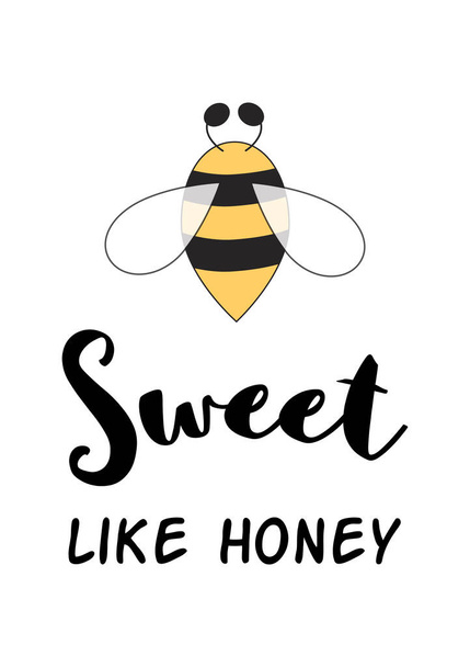 Dulce como miel bebé amor cita frase linda con abeja aislada en blanco. Cartel de amor simple. Impresión de abeja
. - Foto, Imagen