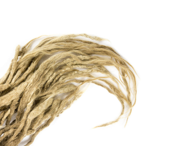 Light honey ash blonde real hand home made dreadlocks, also locs, dreads isolated on white background, room for text. - Photo, Image