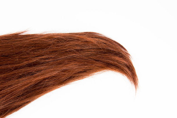 Puhdas tasainen lay studio näkymä yksinkertainen laaja curl osa valmistettu rehevä viininpunainen hiukset eristetty valkoisella pohjalla kopiotilaa. Hiustyyli tuotteiden tausta design elementti käsite
. - Valokuva, kuva