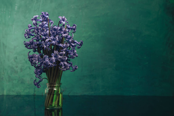 Kaunis violetti hyasintti kukkia maljakko musta lasi pöytä ja vihreä seinä tausta
. - Valokuva, kuva