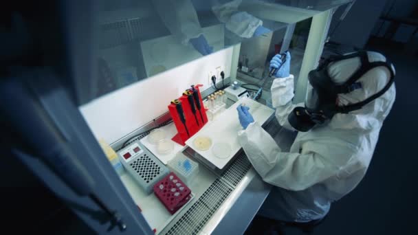 Testbuizen worden geanalyseerd door een labmedewerker in een beschermingspak. Epidemioloog werkt met coronavirus COVID-19 monsters. Mondiale pandemische epidemie. - Video