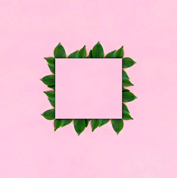Creative mockup border made of bright green leaves on a pink background with copy space for text. Blank, advertising, greeting card. Spring, summer nature concept.Square,Top view, flat lay,copy space. - Valokuva, kuva