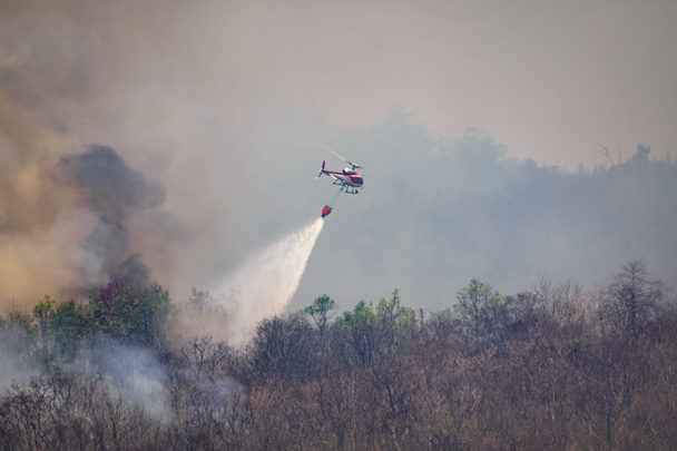 Helikopteri pudottaa vettä metsäpaloon
 - Valokuva, kuva