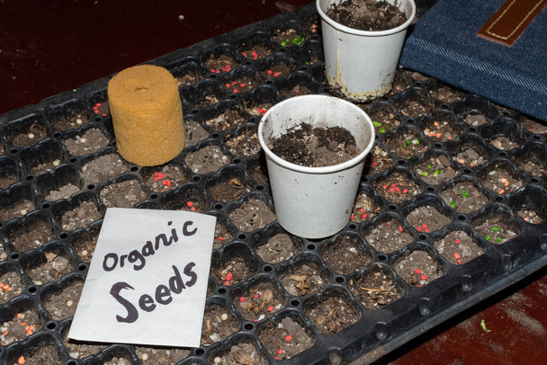 cosas utilizadas para plantar semillas orgánicas: semillero, tierra, cuaderno, semillas
 - Foto, Imagen