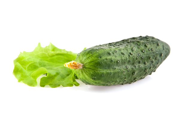 cucumber - 写真・画像