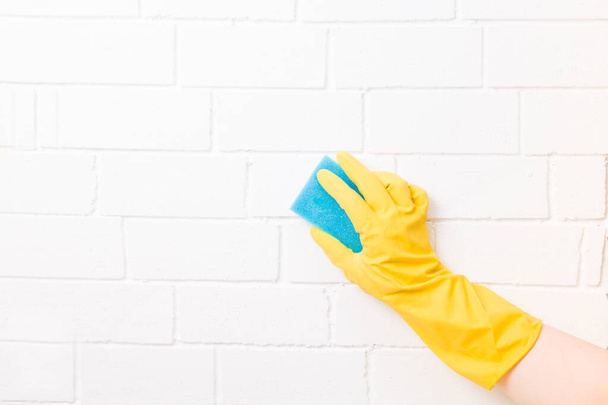 a female hand in a rubber glove holds a blue paralonne sponge for cleaning and washing dishes, white brick background copy space, company cleaning and spring cleaning concept - Fotografie, Obrázek