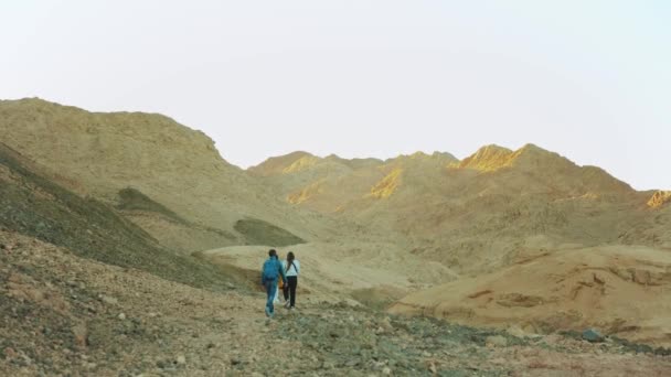 Grupa turystów spaceru po skalistym kanionie w gorącej pustyni, turyści zrobić zdjęcie i zabawy. Pustynia w tle góry, Egipt, Synaj, zwolnione tempo, 4k - Materiał filmowy, wideo