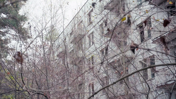 Χαμηλή γωνία άποψη των υποκαταστημάτων και εγκαταλελειμμένο κτίριο στο Τσερνομπίλ, Ουκρανία - Πλάνα, βίντεο