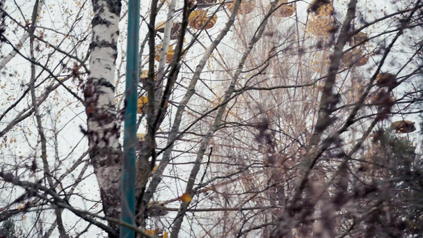 Stromy poblíž opuštěného ruského kola v Černobylu, Ukrajina - Záběry, video