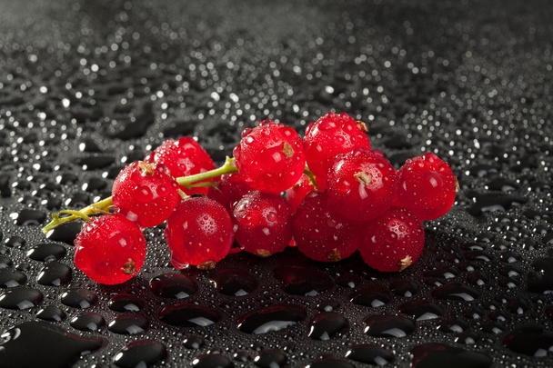 grosella roja con gotas de agua sobre negro
 - Foto, Imagen