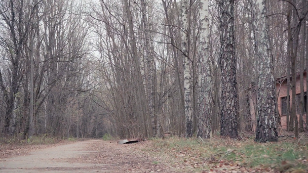 Droga w lesie w pobliżu opuszczonego budynku w Czarnobylu, Ukraina - Materiał filmowy, wideo