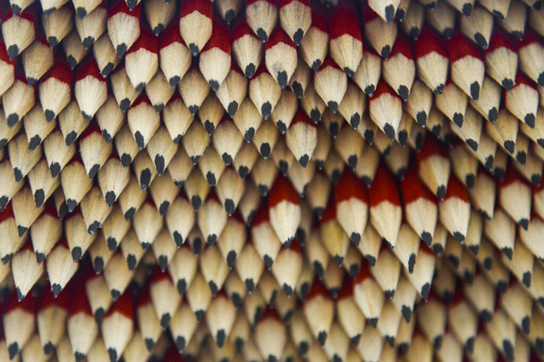 Background of graphic pencils for creativity closeup - Фото, изображение