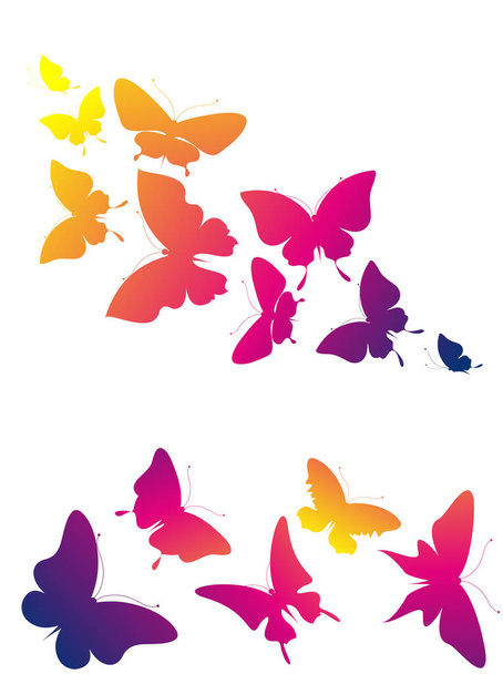 白を基調とした鮮やかなカラフルな蝶のセット、春のコンセプト  - 写真・画像