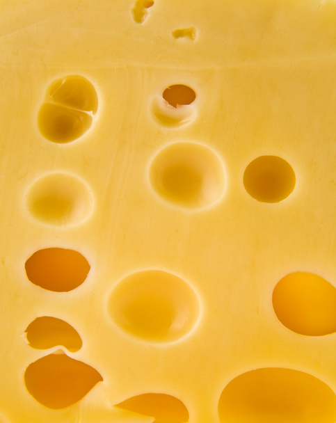 Sýr - Fotografie, Obrázek