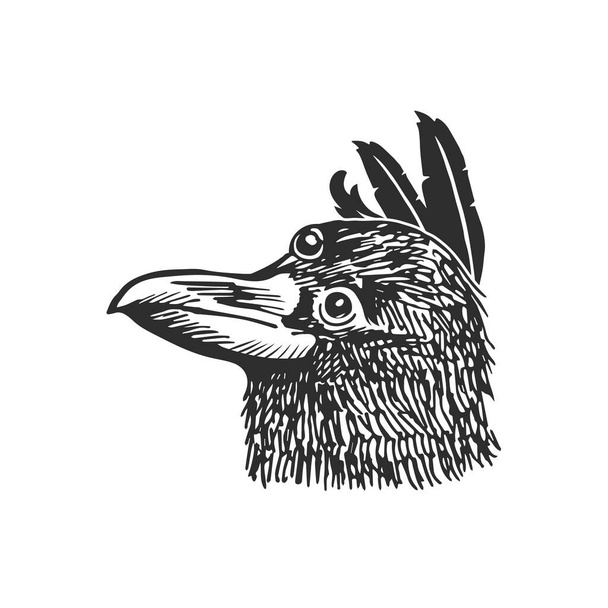 羽で飾られた三つの目のカラスの頭。神話の鳥のベクトル図. - ベクター画像