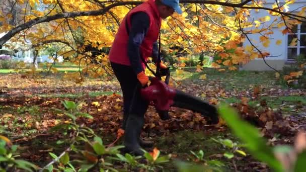 Housekeeper man blowing leaves in his own house yard. Guy using leaf blower - Footage, Video
