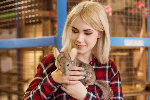 A beautiful blond woman holding a gray chinchilla in her hands. Mammal, rodent. Contact zoo. - Foto, immagini