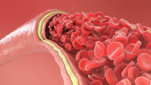 動脈、静脈内の赤血球の3Dイラスト。健康な動脈断面血流.科学的・医学的微生物学的概念。酸素と重要な栄養素の濃縮 - 写真・画像