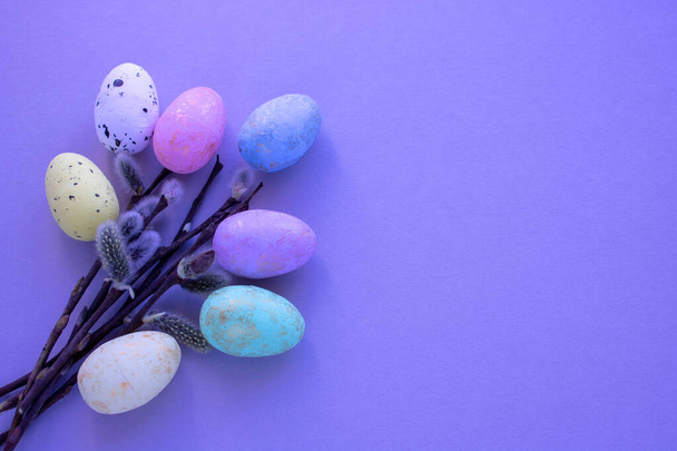 ramas de sauce cortadas sobre fondo púrpura con huevos muiticolores para Pascua
. - Foto, Imagen