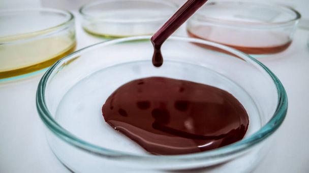Scientist dropping a sample into Petri dish of blood test for coronavirus science and healthcare testing for influenza transmission. Equipment science experiments at laboratory petrischalen. - Фото, изображение