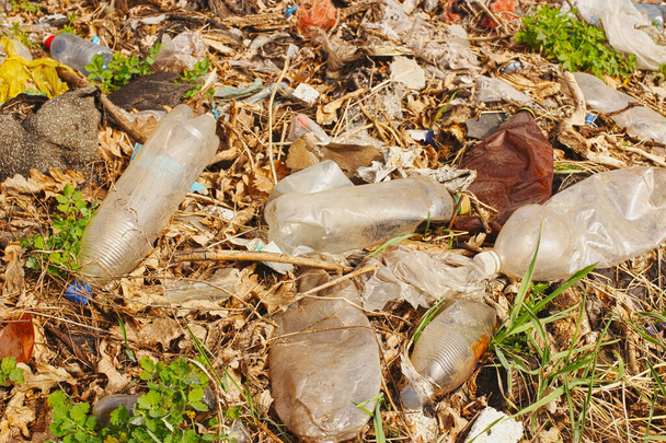 Scarichi illegali di rifiuti nella foresta. Il concetto di uomo e l'ambiente, la natura
 - Foto, immagini