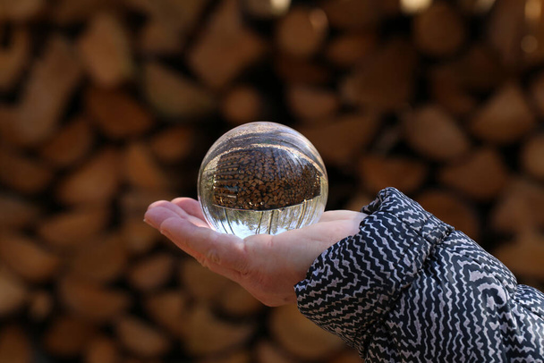 Troncos recién aserrados en la naturaleza a través de una bola de vidrio
. - Foto, imagen