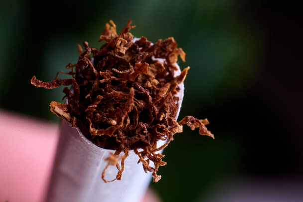 Tobacco in a cigarette close-up on a dark background. - Фото, изображение