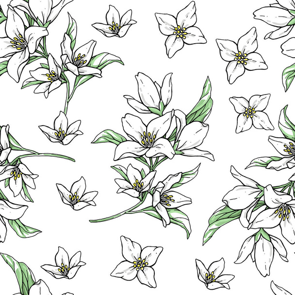 Vector handwork illustration. Drawing of blooming white jasmine with green leaves. Seamless pattern with jasmines for textiles design. - Vector, Imagen