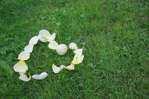 Сердце, выложенное из лепестков роз на зеленой траве
 - Фото, изображение