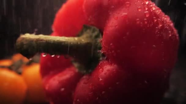 Fresh washed red bell pepper and yellow cherry on a black background. Close-up of a a powerful stream of water on the surface of the vegetables. Healthy eating - Filmati, video
