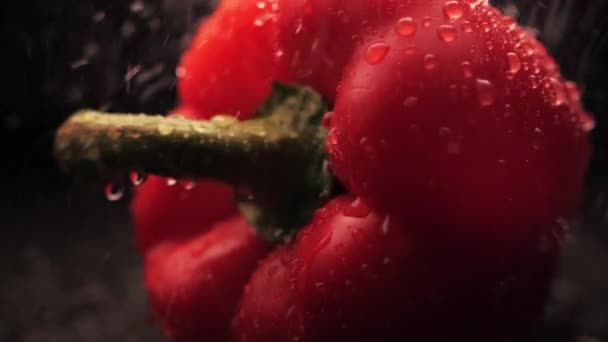 Fresh washed organic red bell pepper with water drops on a black background. Close-up of a a powerful stream of water on the surface of the vegetables. Healthy eating - 映像、動画