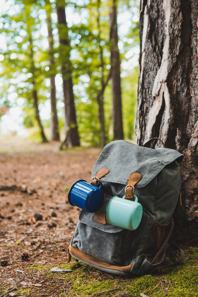hiking backpack near tree in forest hiking concept - Foto, Imagem