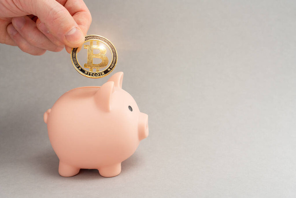 Bitcoin-Haltungskonzept. Sparschwein für Bitcoins. Kryptowährungssparsymbol. Ein Mann steckt Bitcoin in eine Spardose vor grauem Hintergrund. Kopierraum. - Foto, Bild