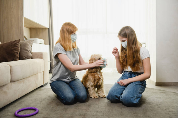 Twee vrouwtjes thuis tijdens isolatie periode proberen te beschermen mooie huisdier tegen virussen, coronavirus, die honden muilkorf. Moeder en dochter met een hond. - Foto, afbeelding