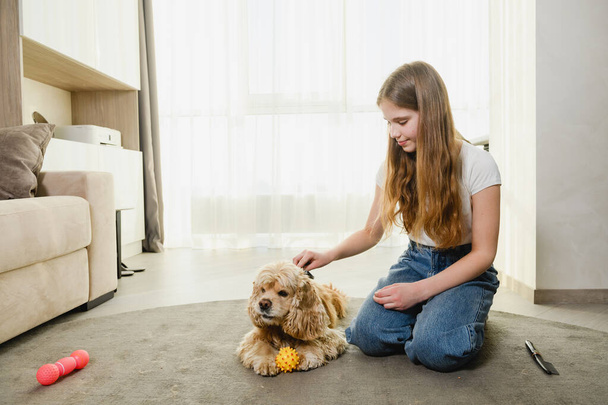 Teen girl sitzen auf Teppich und spielen während der Isolationsphase mit Cockerspaniel. Mädchen kämmt Hundehaare. - Foto, Bild