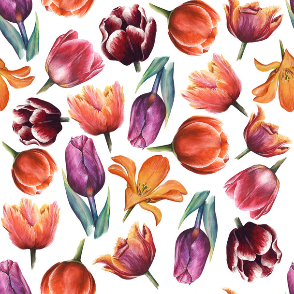 Akvarel bezešvný květinový vzor s tulipány. Ručně malované květinové ozdoby izolované na bílém pozadí - Fotografie, Obrázek