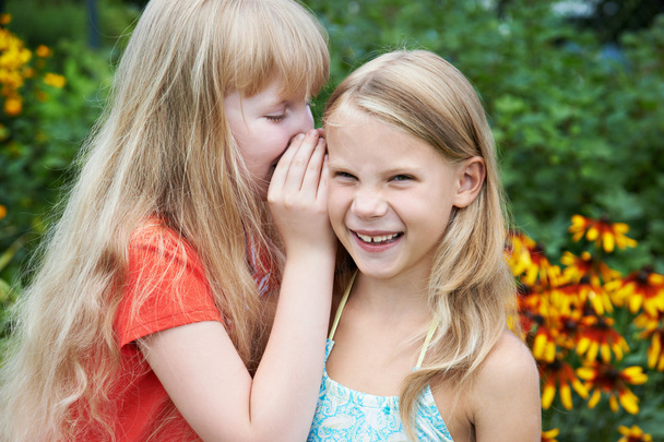 Mädchen erzählen einander Geheimnisse - Foto, Bild