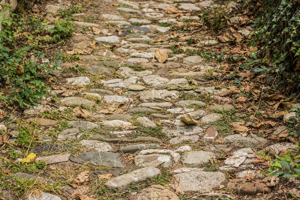 old abandoned paved textured stone road in park outdoor garden environment space wallpaper background pattern in perspective photography foreshortening - Foto, immagini