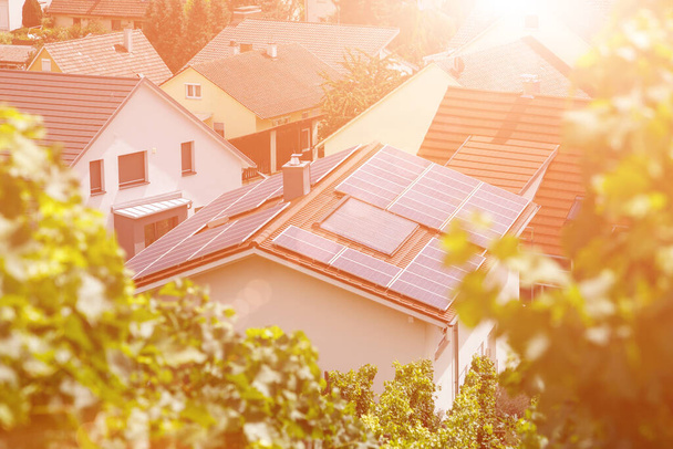 Солнечные панели на черепичной крыше здания под солнцем. Вид сверху через виноградные листья. Изображение для иллюстрации энергии, уверенности в себе, уверенности в себе и безопасности. Выборочный фокус. Blur
 - Фото, изображение