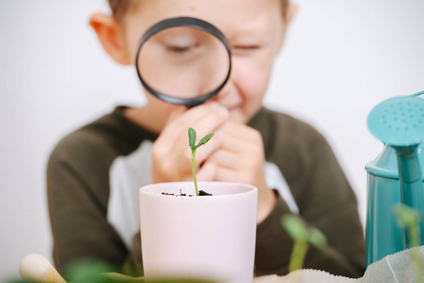 Little boy playing with a magnifying glass, looking through it at potted plant leaves in the foreground. Close up. - Zdjęcie, obraz