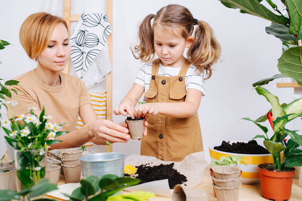 Little girl in beige overalls replanting seedlings with her mother on a wooden table. She's carefully filling paper pots with fertile soil. - Foto, imagen