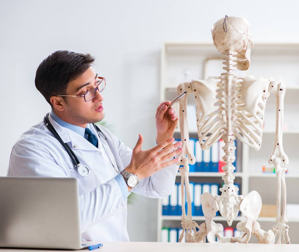 Yong medico maschio con scheletro isolato su bianco - Foto, immagini