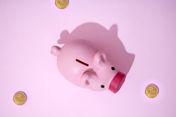 A studio photo of a piggy bank - Foto, imagen