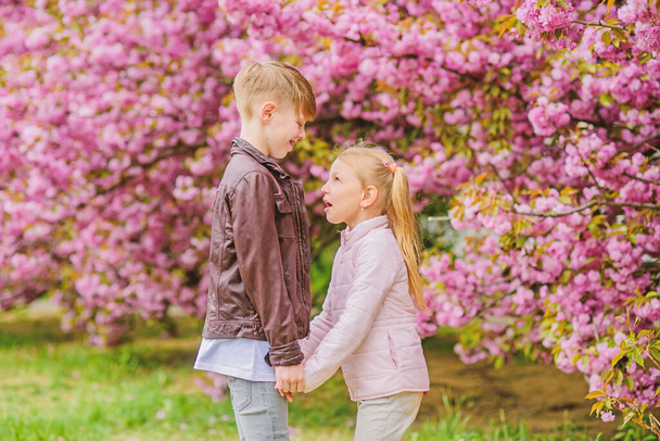 Love is in the air. Tender love feelings. Little girl and boy. Romantic date in park. Spring time to fall in love. Kids in love pink cherry blossom. Couple adorable lovely kids walk sakura garden - Photo, Image