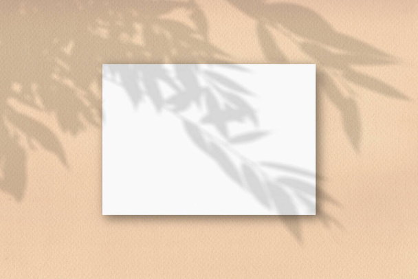 Un foglio A4 orizzontale di carta bianca strutturata sullo sfondo della parete gialla. Il Mockup si sovrappone alle ombre delle piante. La luce naturale getta ombre dal fogliame dell'albero
. - Foto, immagini